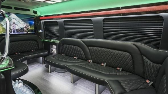 egg harbor sprinter limo rental inside